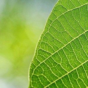 Meet your Posher, Rue